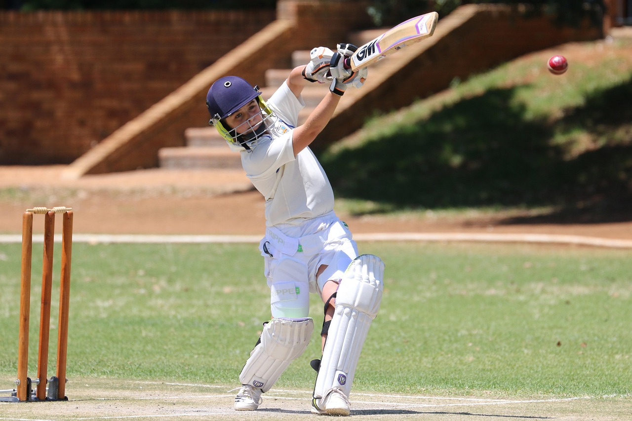 Cricket Game Analysis